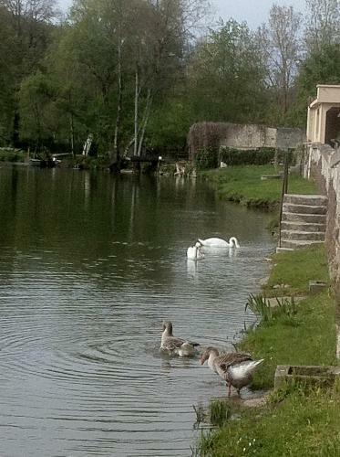 Bed & Breakfast Maison D'h�tes La Villa Corisande
