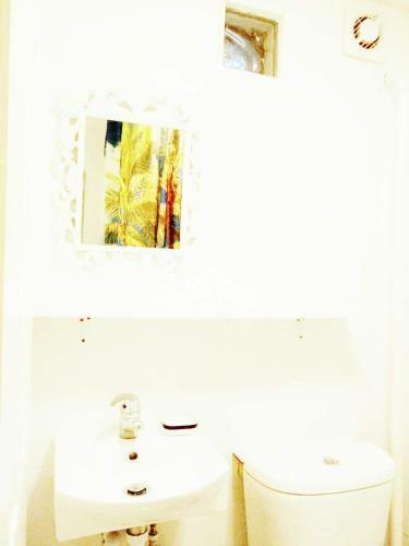 Hostal Swan Guest House (?????)