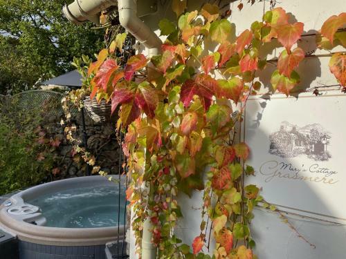 Agroturismo Marys Cottage