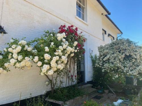 Apartamento Old Rectory - Scoulton