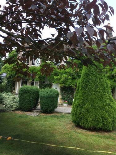 The Hollow Bed And Breakfast