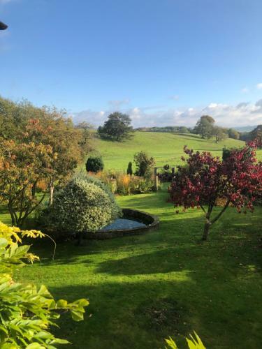 The Hollow Bed And Breakfast