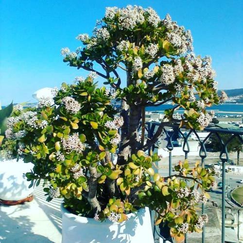 Villa Summer House Tanger