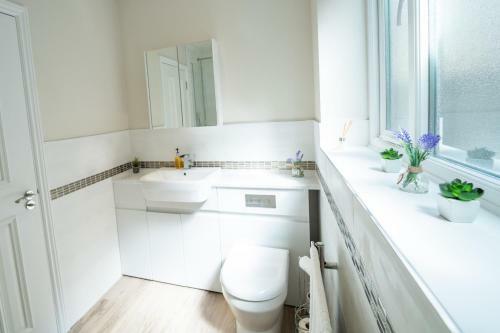 South Quay Apartment