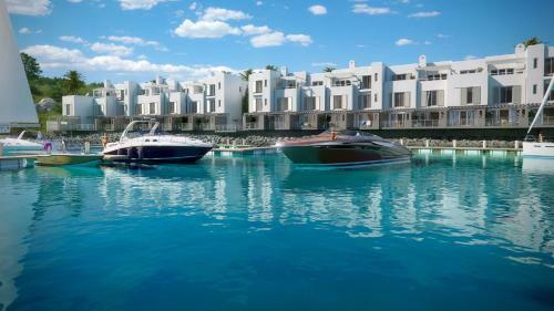 Apartamento Kaliva 595