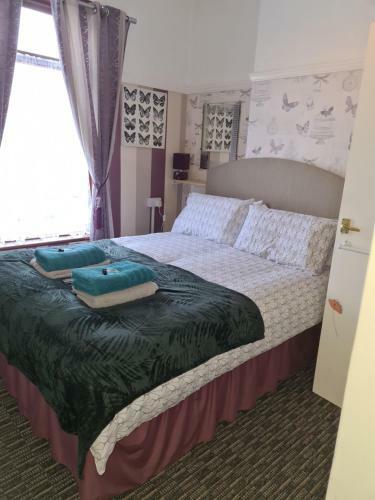 Hostal The Ladybird Guesthouse
