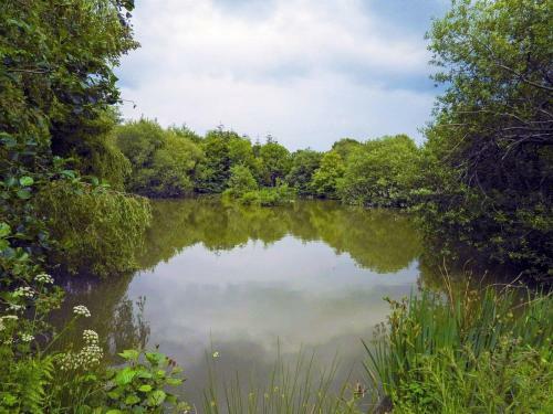 Bluebell Lodge - Uk13449