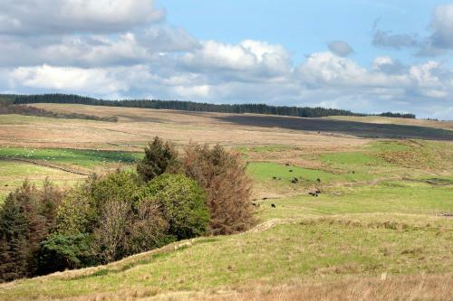 Roman Height's Holiday Cottages