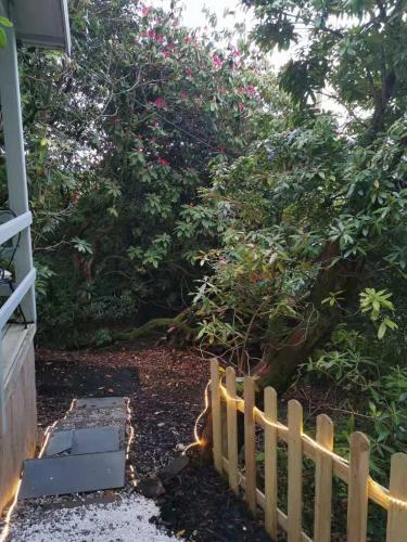 Treeside Woodhouse Free Breakfast Options
