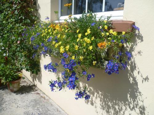 Bed & Breakfast North Headborough