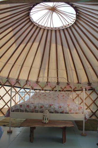 Mill Haven Place Glamping Yurt 3
