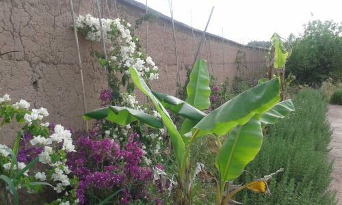 Agroturismo Villa Darga Rouge