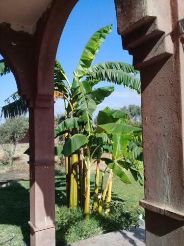 Agroturismo Villa Darga Rouge