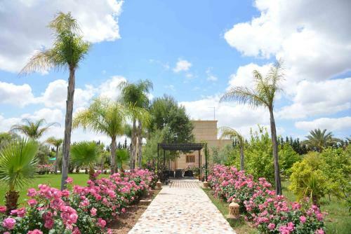 Hostal Paix & Palmiers