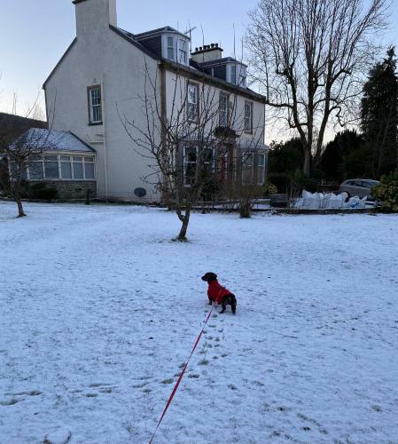 Bed & Breakfast Easter Garth Guest House