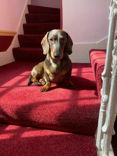Bed & Breakfast Easter Garth Guest House