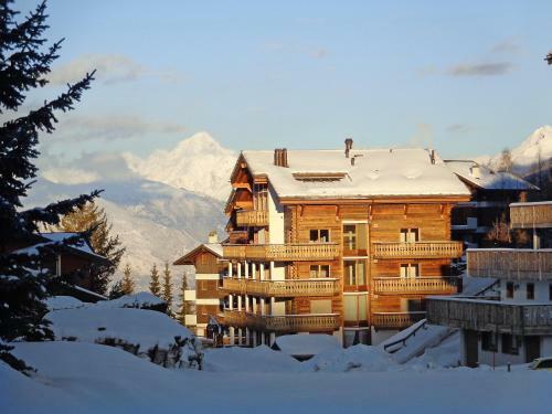 Apartment Les Cimes Blanches II Nendaz Station