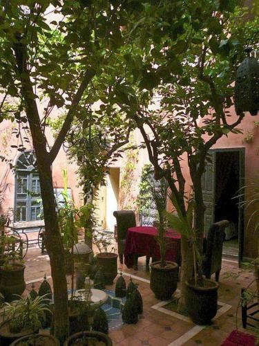 Riad Sidi Omar
