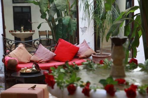 Riad Dar Tayib