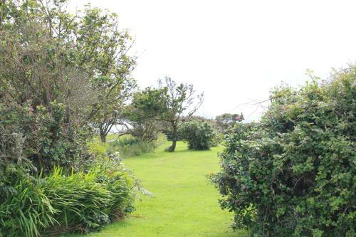 Bed & Breakfast Coastal Pods