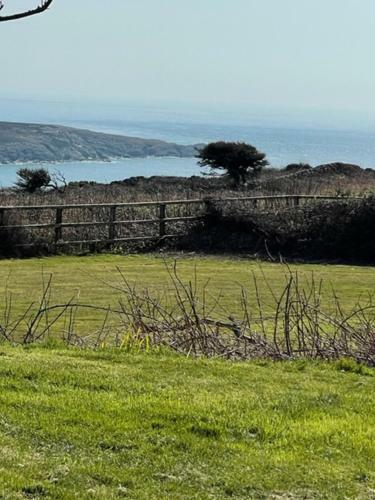 Bed & Breakfast Coastal Pods