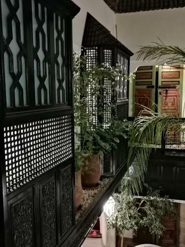 Riad Dalla Santa