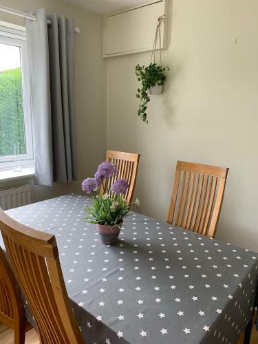 Apartamento New Forest Chalet