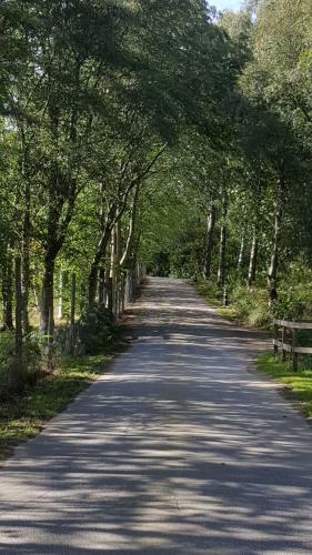 Inchmarlo Golf Resort, Banchory Villa 38