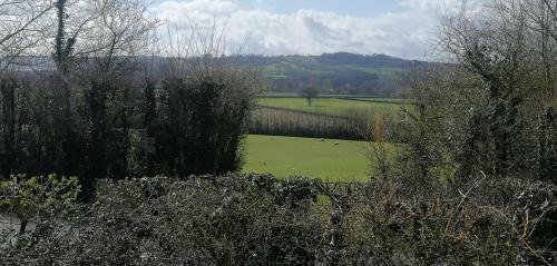 Blackdown View