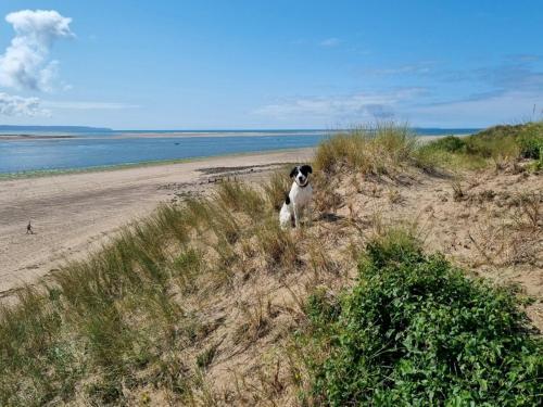 Pass The Keys Charming 2 Bed House Great Location And Dog Friendly