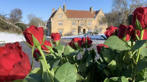 Hotel Griffin Inn Irnham