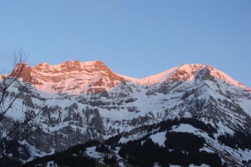 Chalet Sunnegg
