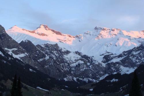 Chalet Sunnegg