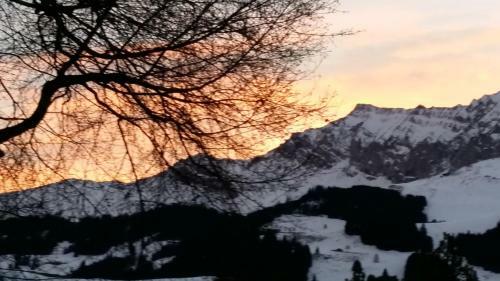 Chalet Sunnegg