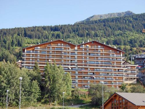 Apartment Christiania II Nendaz Station