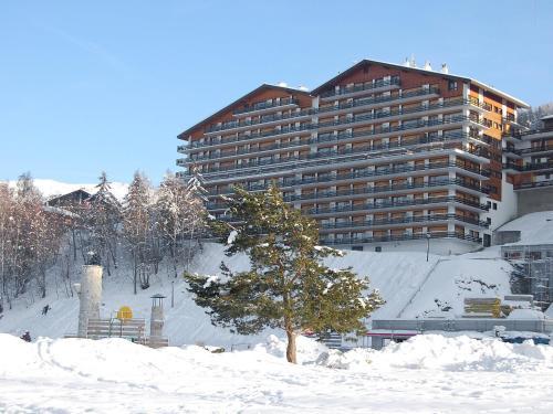 Apartment Christiania II Nendaz Station