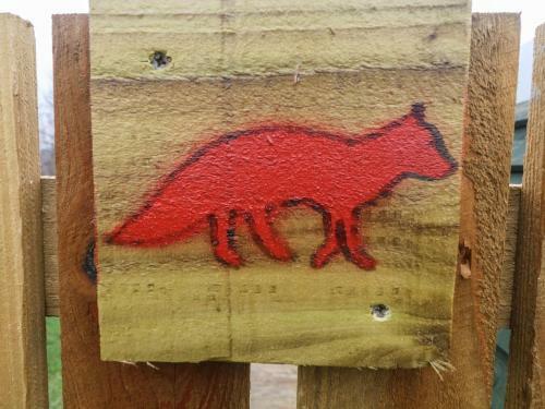 Fox