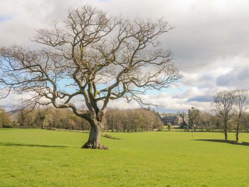 Two Acres