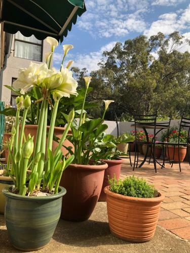 Bed & Breakfast Sandton Slippers
