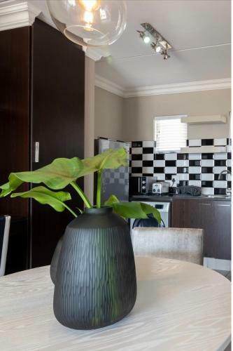 The Steynview Apartment - Fourways Sandton