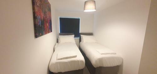 Garland Apartment, Greenhithe 5 - Netflix & Music