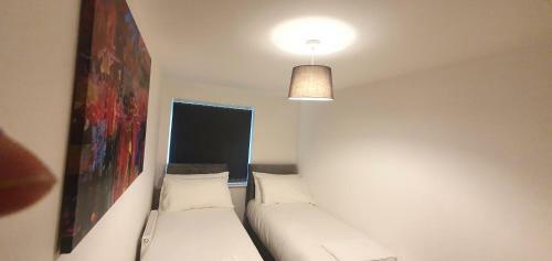 Garland Apartment, Greenhithe 5 - Netflix & Music