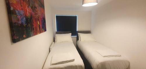 Garland Apartment, Greenhithe 5 - Netflix & Music
