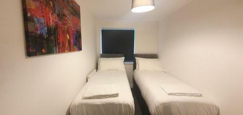 Garland Apartment, Greenhithe 5 - Netflix & Music