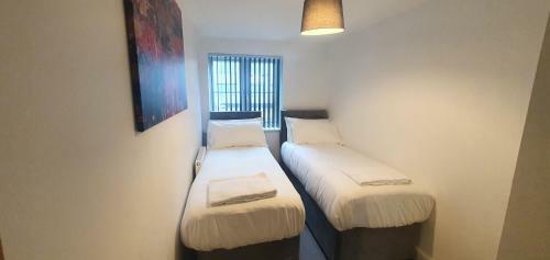 Garland Apartment, Greenhithe 5 - Netflix & Music