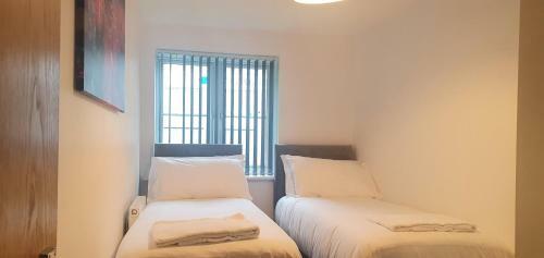 Garland Apartment, Greenhithe 5 - Netflix & Music