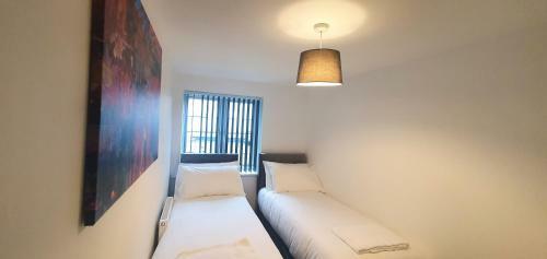 Garland Apartment, Greenhithe 5 - Netflix & Music