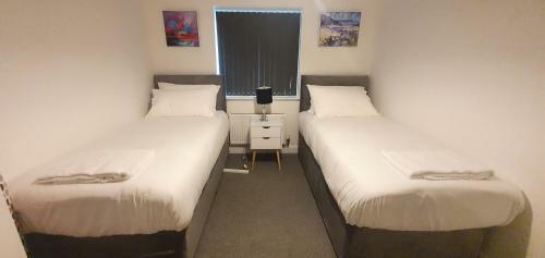 Garland Apartment, Greenhithe 5 - Netflix & Music