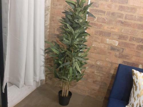 Apartamento Maboneng On Craft