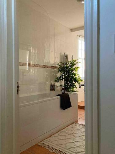 Apartamento Turner?s Spectacular Sea Views